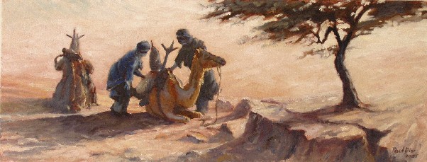 Bedouine Loading Their Camels