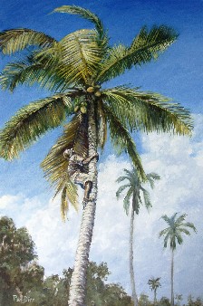 Painting of coconut palm