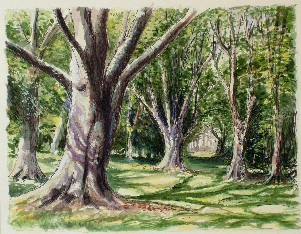 Painting of Beech Trees, Sussex